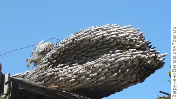 Фото из интернета