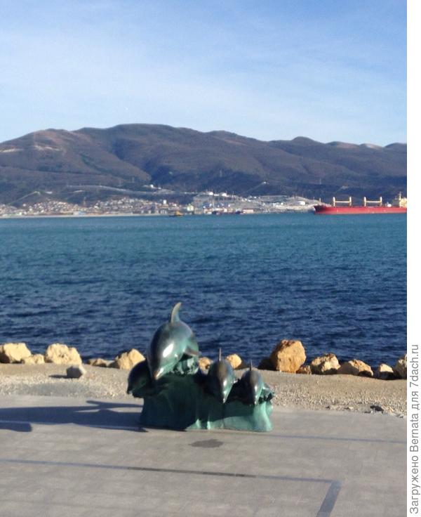 Дельфинчики...