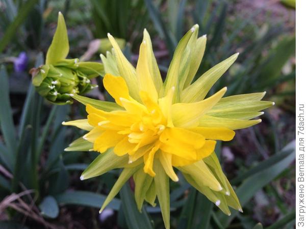 Это Вам:)) Чтоб веселее было весну ждать :))