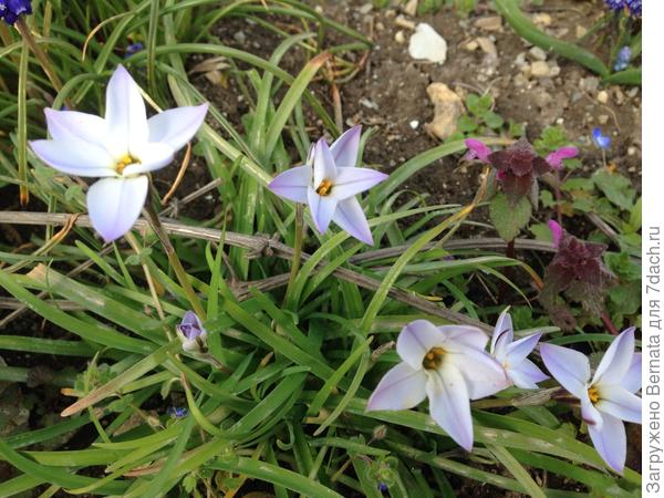 А когда их будет много, вообще, здорово будет:))