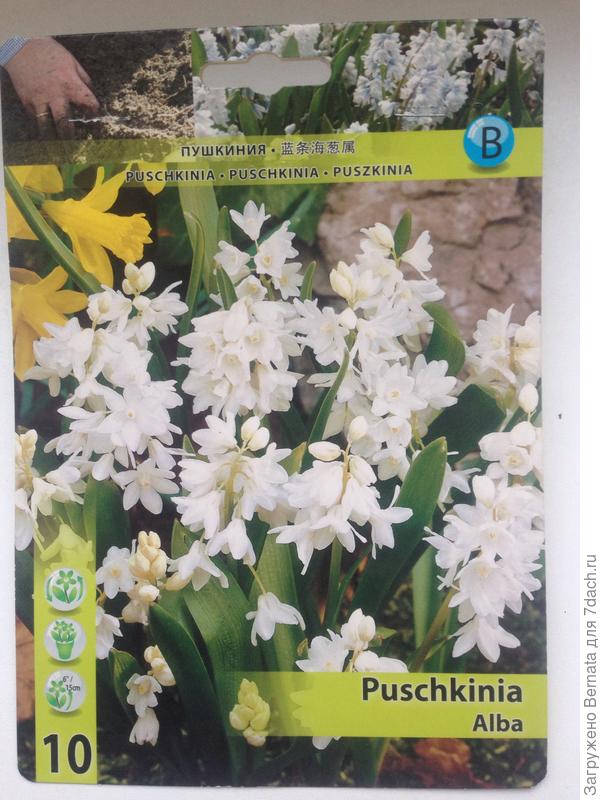 Белая мне, тоже, очень понравилась...