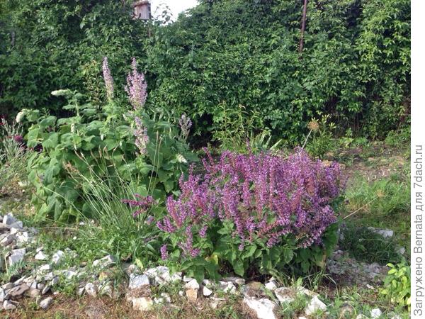 Мутовчатый и сзади Вознесенский