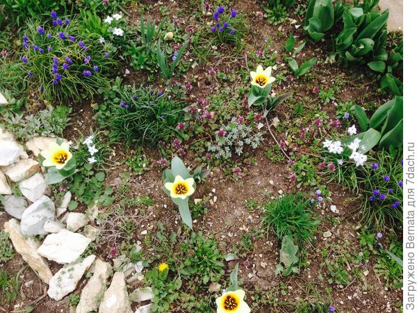 Без слов ....