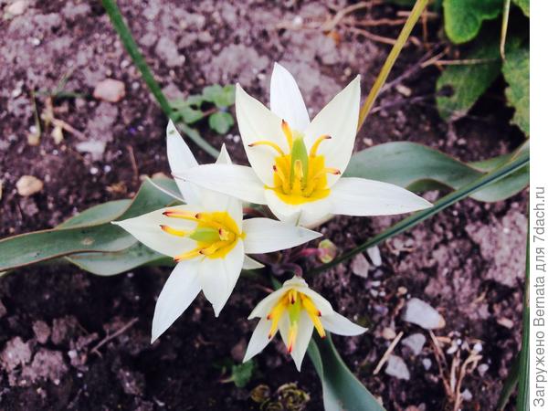 С днем рождения !!!