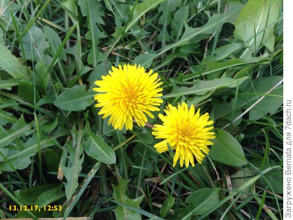 Одна из ТЕХ фоток:)))