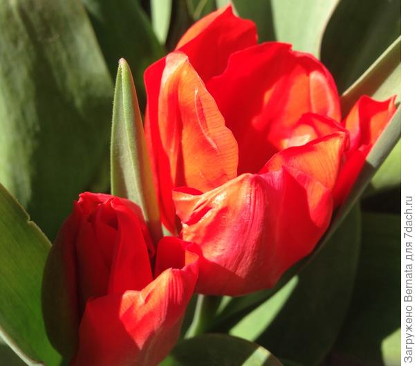 И будь счастлива:))