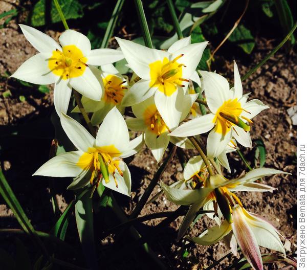 Гип-гип-ура!!!