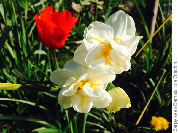 С Днем рождения !!!