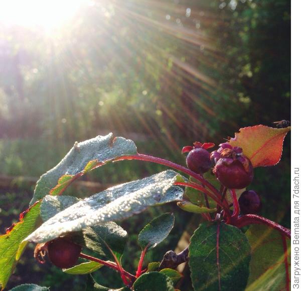 Вот такой она была до &quot;поломки&quot;