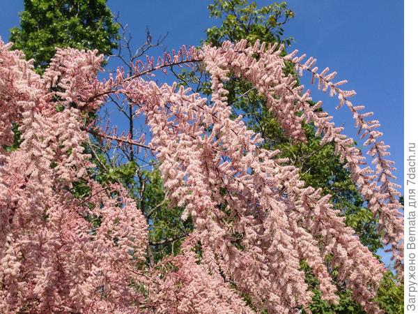 И смотрится хорошо...