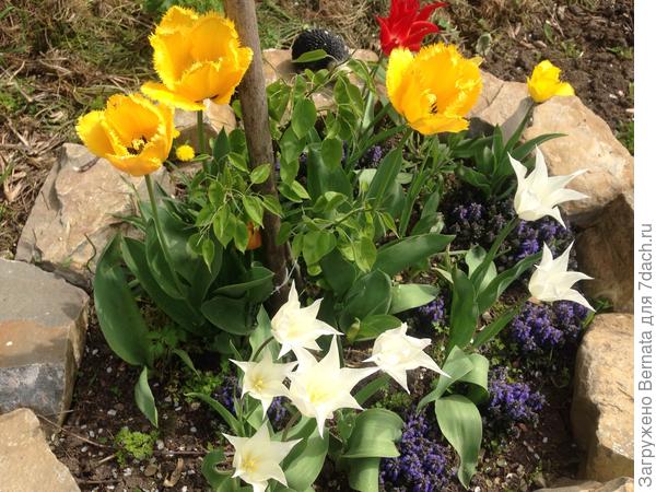 Небольшой &amp;quot;букетик&amp;quot; в подарок :)))