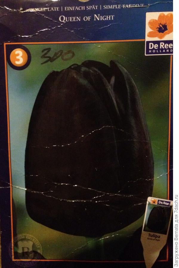 Вот такие...