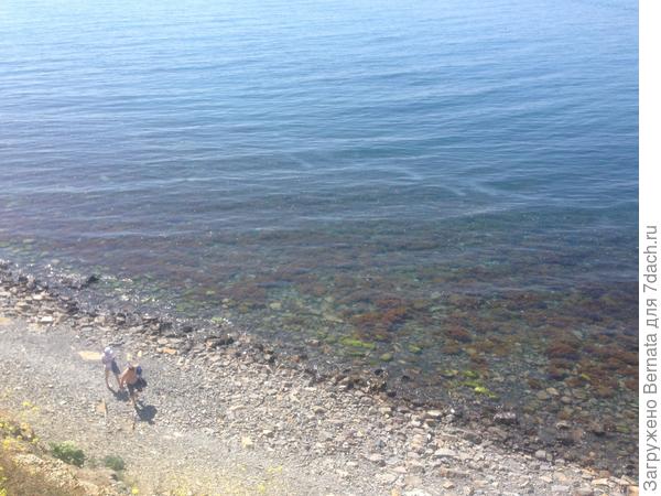 По берегу проходят первые "купальщики"...