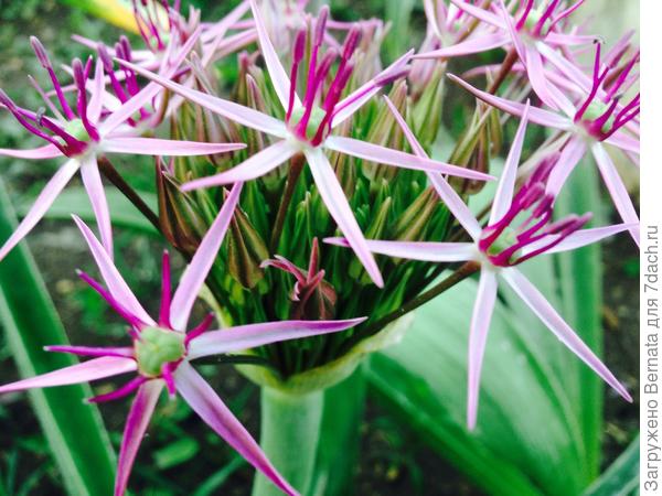 Марин... Пусть даже в самой непроглядной тьме сияют звезды Надежды. И пусть тебя всегда ждет Дом. Дом, где твоя Семья.