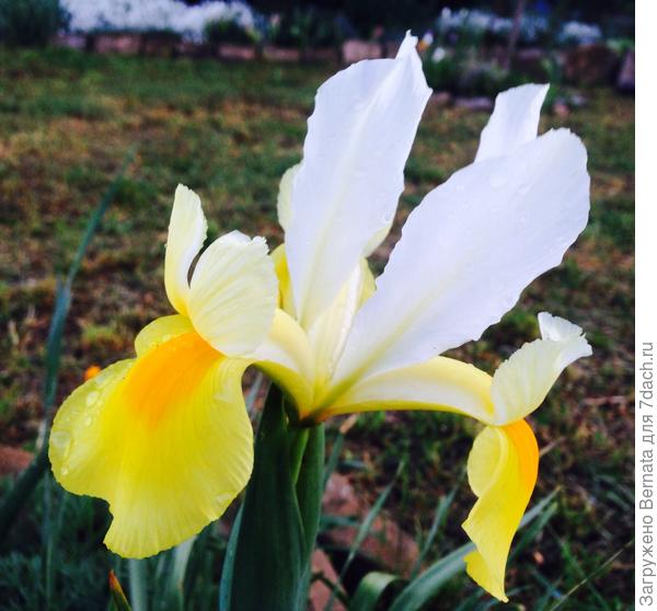 Виктор! С днем рождения! Крепкого здоровья и новых жизненных Побед!