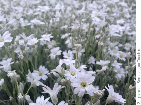 Но- красивая:)))