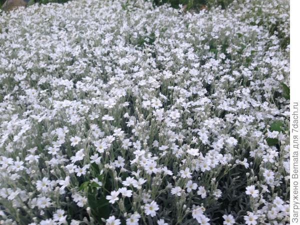 Конца и края не видать...