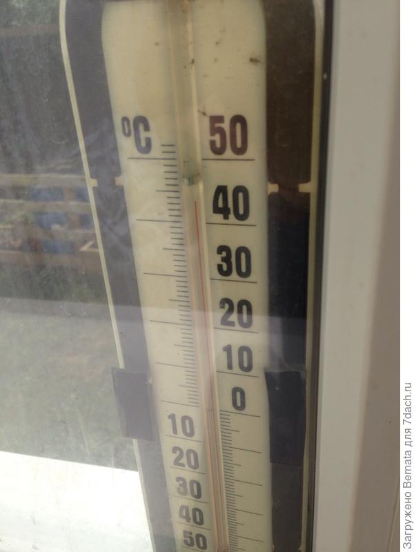 20 мая 9-30 утра ...