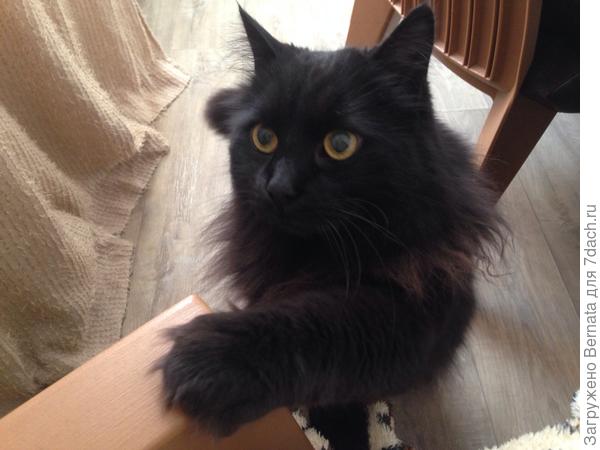 Ну возьми меня !!!