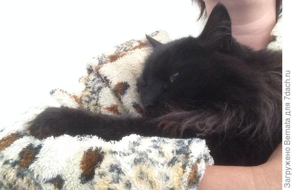 Ура! Я на ручках! А мама пусть печатает..,:))