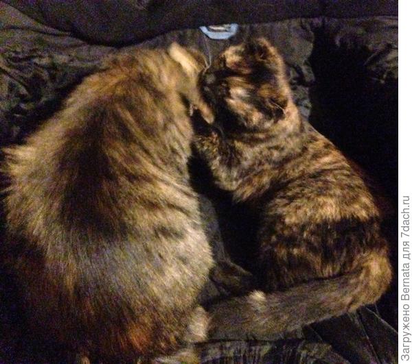 Вдвоём, конечно, потеплее будет...:)