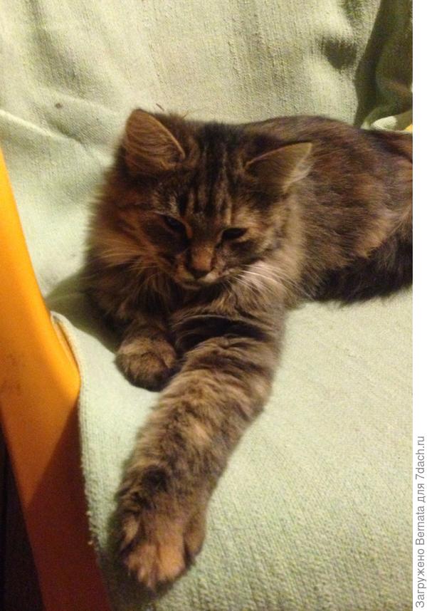 С презрением ко всем ...