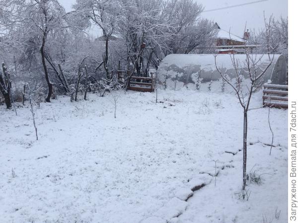 Много-много снега:)