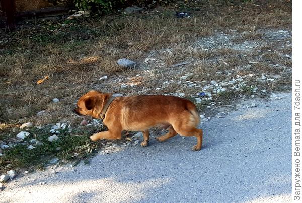 А потом сбежал, от греха подальше.., а то, фиг меня знает, что у меня на уме, раз не боюсь:))))