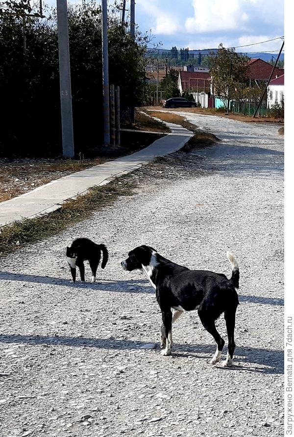 Встретились:)