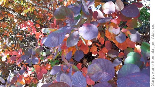 Но она разной бывает...