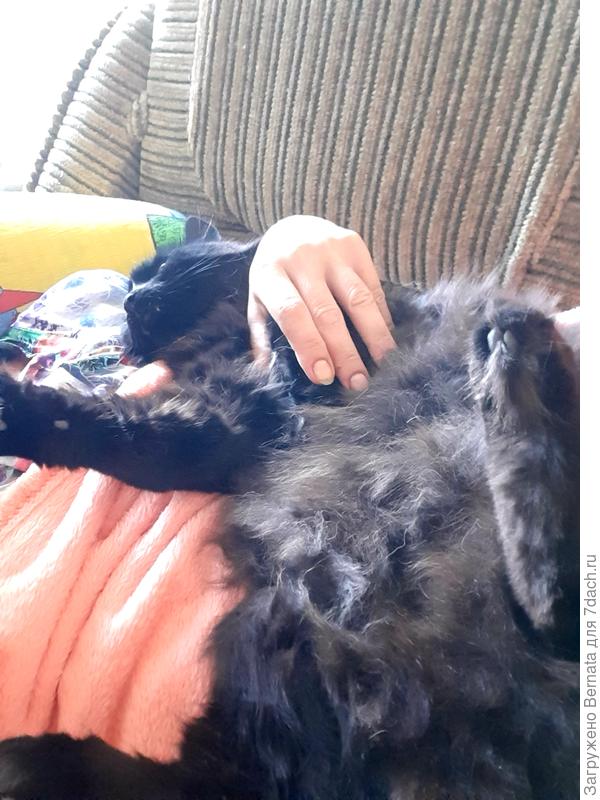 Разве что, ТАК:)))