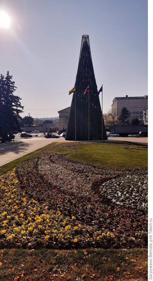 Но Краснодарский край первым начал готовиться к встрече Нового года:))