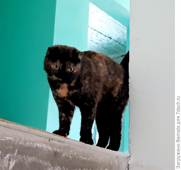 А девочек на праздник зовут?:))