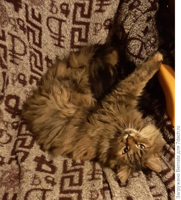 Ой, а я еще не готова к празднику...