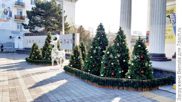 Зато по всему городу - новогодние ёлки