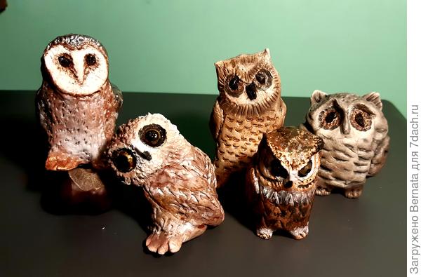 Эти маленькие - от 5 до 8 см