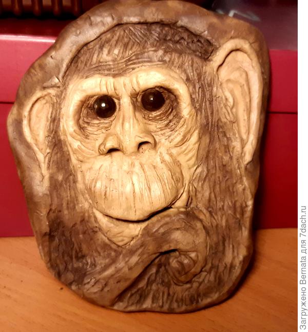 А &quot;портреты&quot; только животных