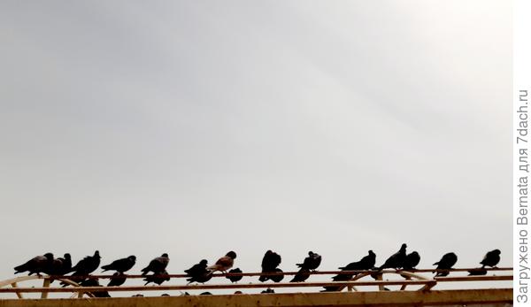 Построение....