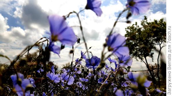 Эй, тучи, вы кудаааааааа...???!