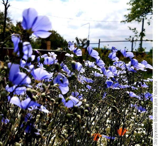 Безмятежность....