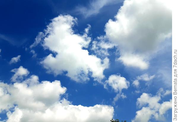 Просто небо, просто облака....