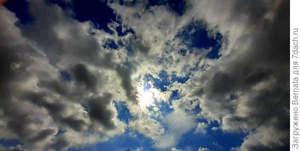 Солнышко в капкане...