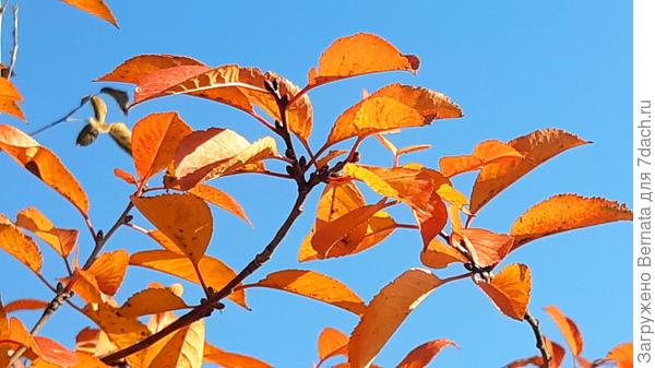 Синее-синее небо...