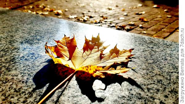 Просто листик....