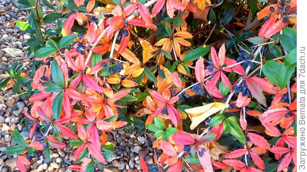 Все времена года...