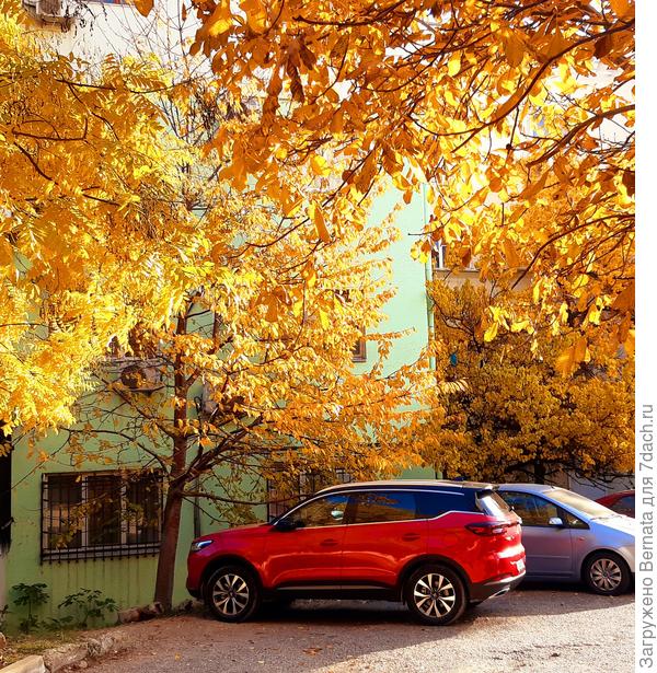 Светофор:)))