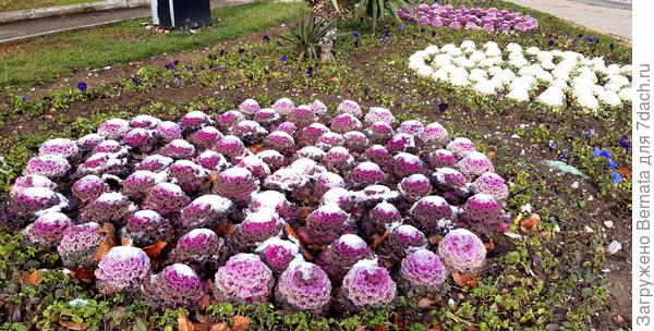 Зимний "тортик':)))