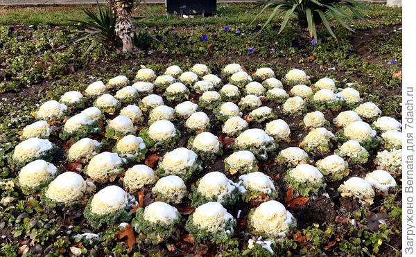 И еще один:))