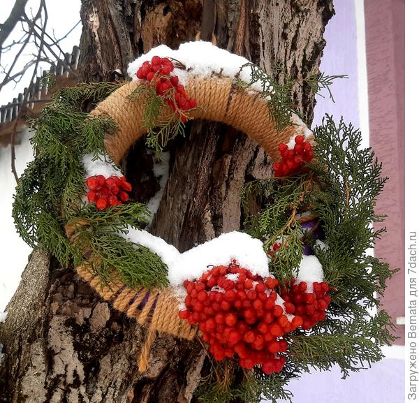 А вот калину есть никто не хочет...