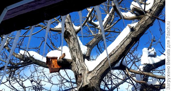 Вид из окна на сосульки:)